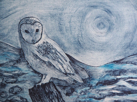 Blueprints & Open Editions