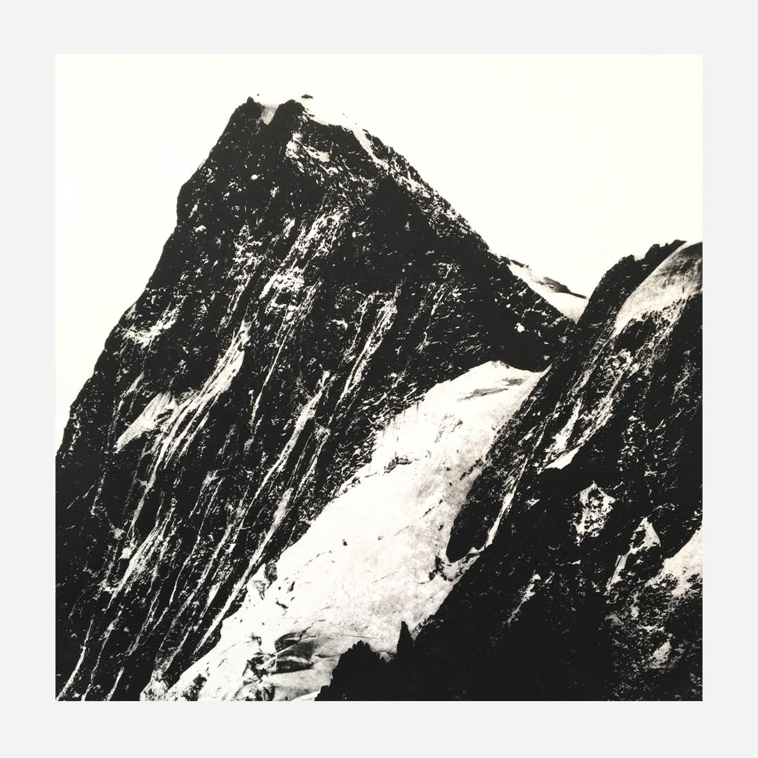 The Lumen Print Artists