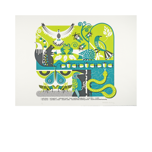 Britains Most Endangered Animal Species by Barbara Ridley