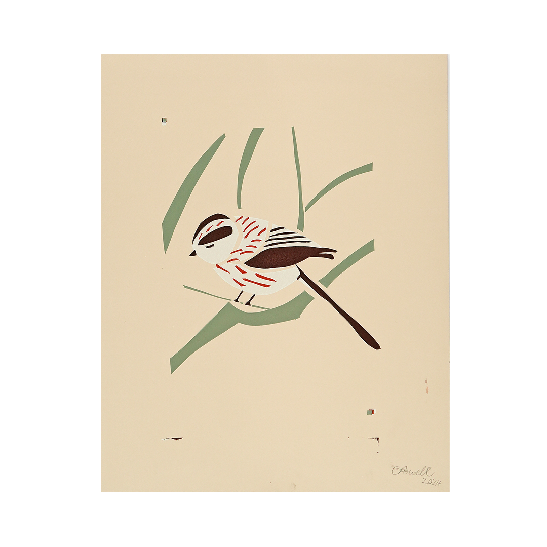 Long Tailed Tit by Catherine Powell