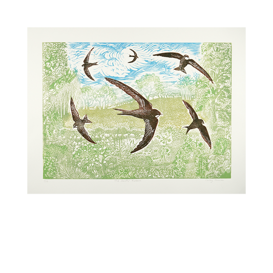 The Swifts’ Return by Cathy Duncan
