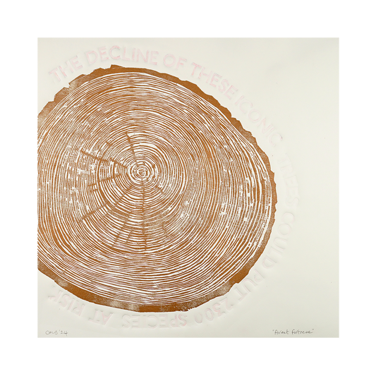 Forest Fortress by Clare Bowes