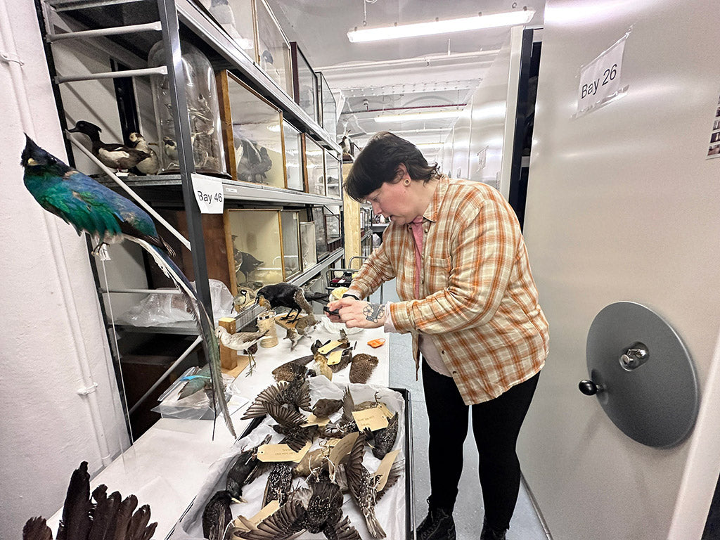 Great North Museum: Hancock Resource Centre. 15.02.24