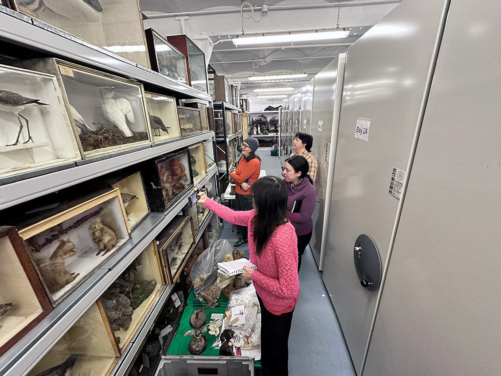 Great North Museum: Hancock Resource Centre. 15.02.24