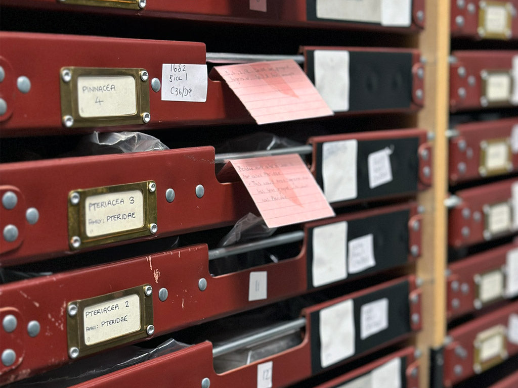 Great North Museum: Hancock Resource Centre. 15.02.24