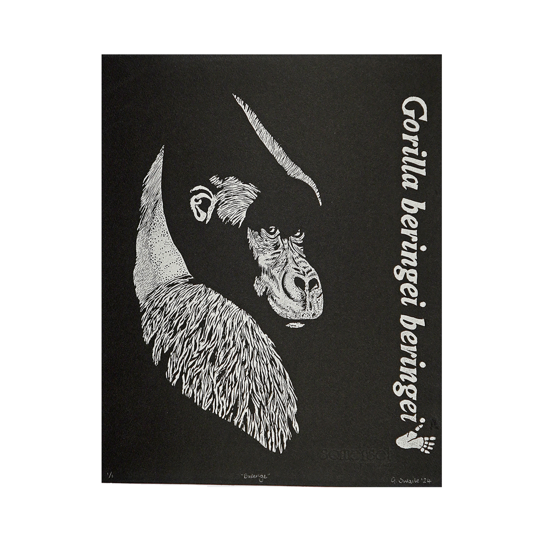 Bwenge by Gillian Swaile