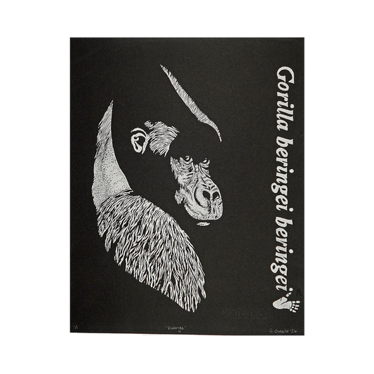 Bwenge by Gillian Swaile