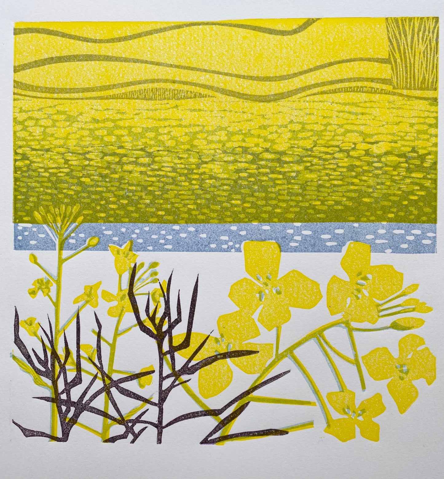 Fields of Gold