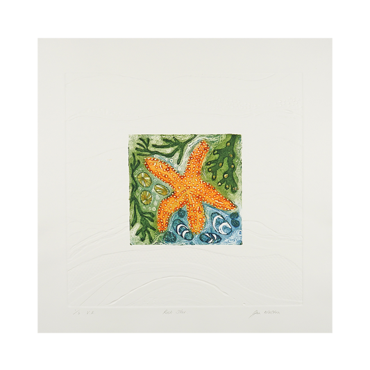 Rock Star by Janet Walton