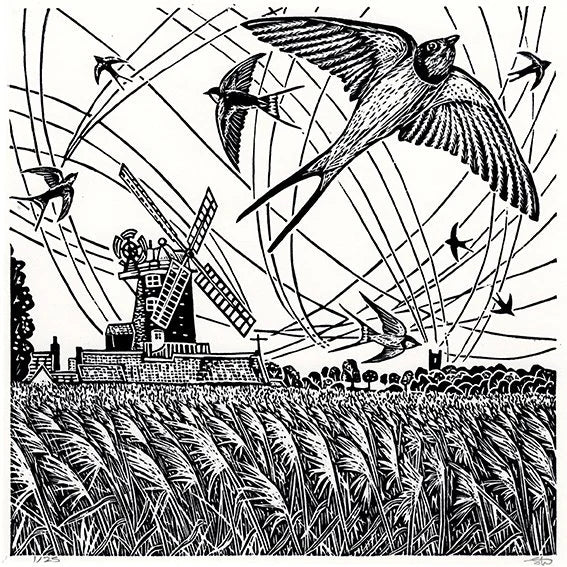 The Swallows Dance