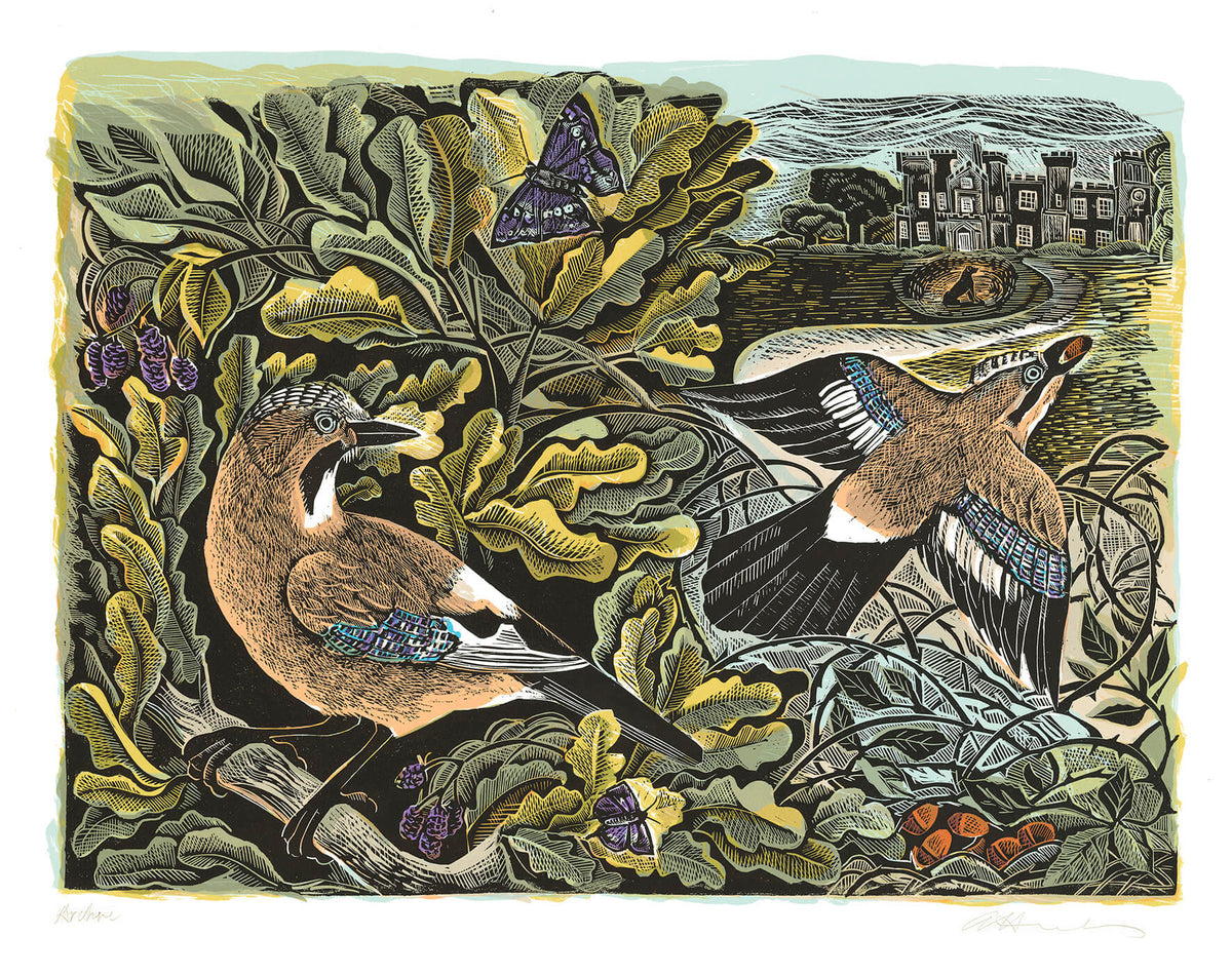 Knepp Jay & Oak Tree