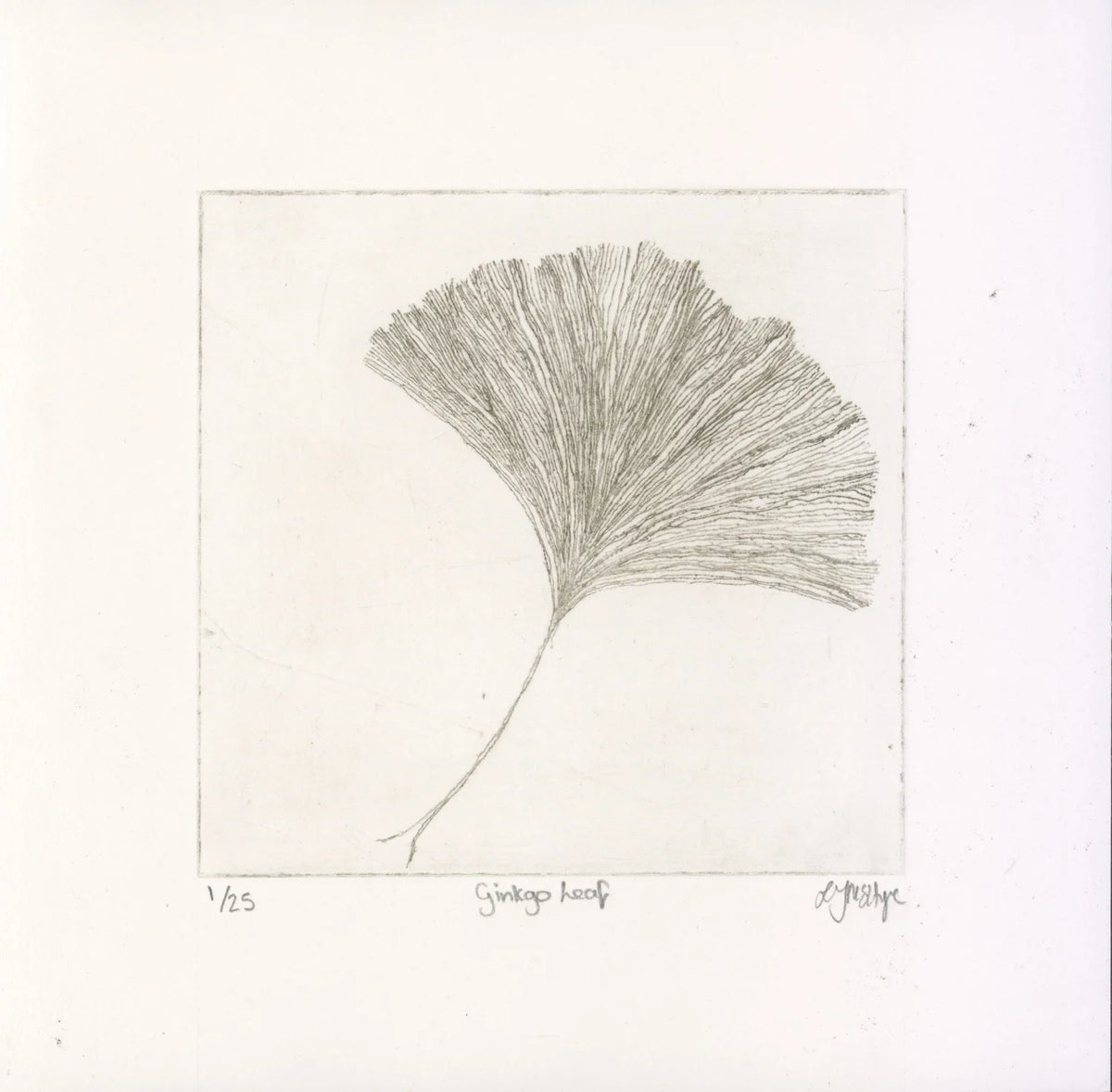 Ginko Leaf
