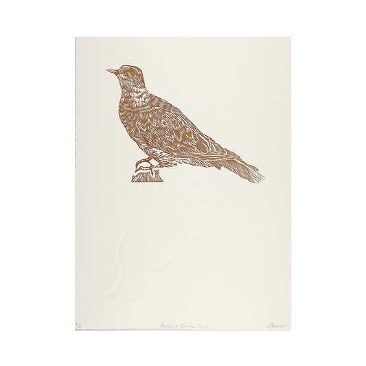Precious Turtle Dove by Louise Pallister