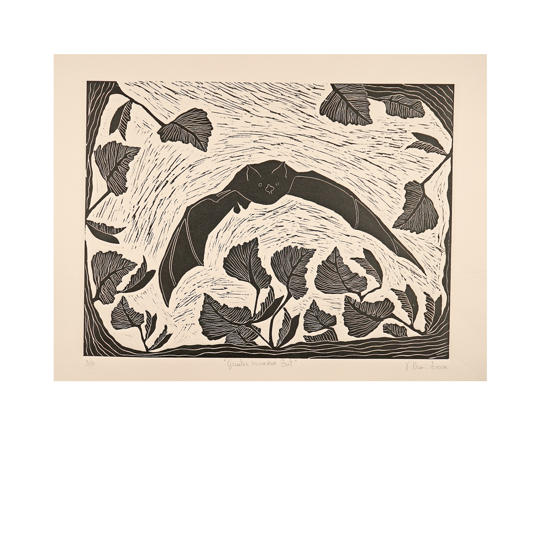 Greater Horseshoe Bat by Valentina Usai Zucca