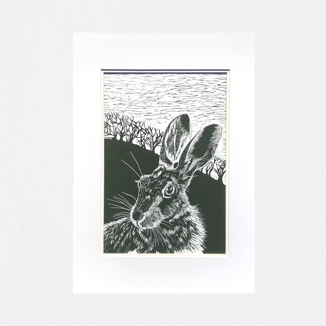 Winter Hare