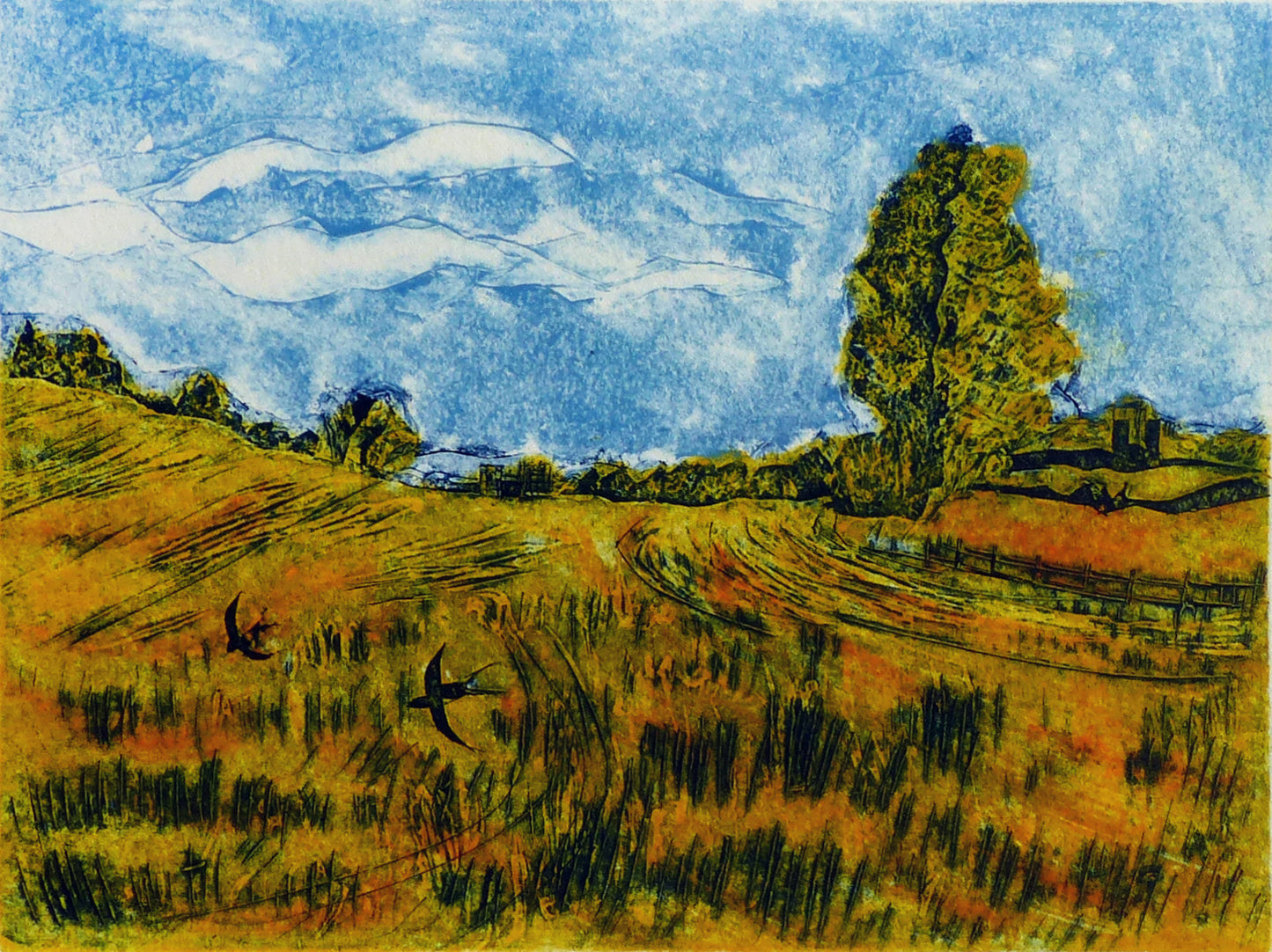 "The Swallows are Back!"