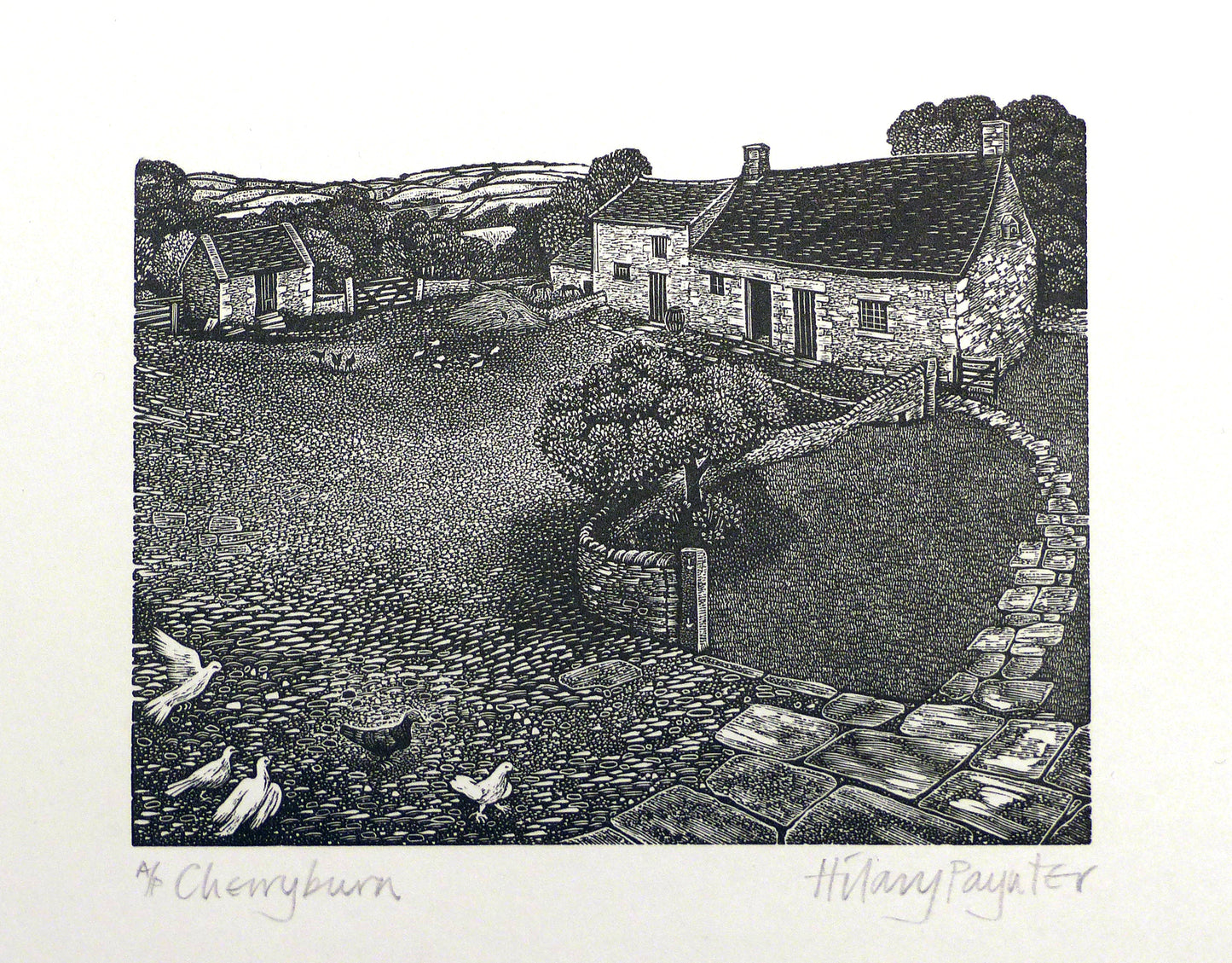 Hilary Paynter Wood Engraving: Cherryburn