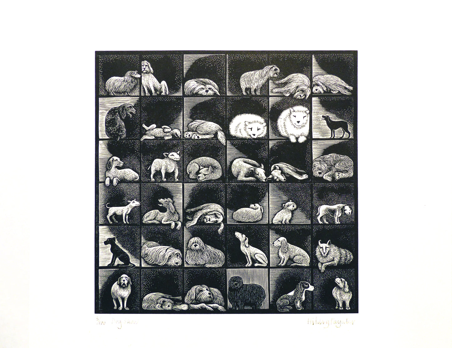 Hilary Paynter Wood Engraving: Dog Show