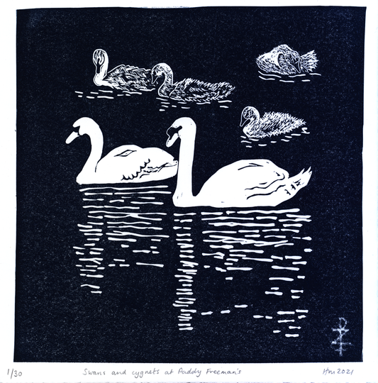 Swans and Cygnets at Paddy Freeman's