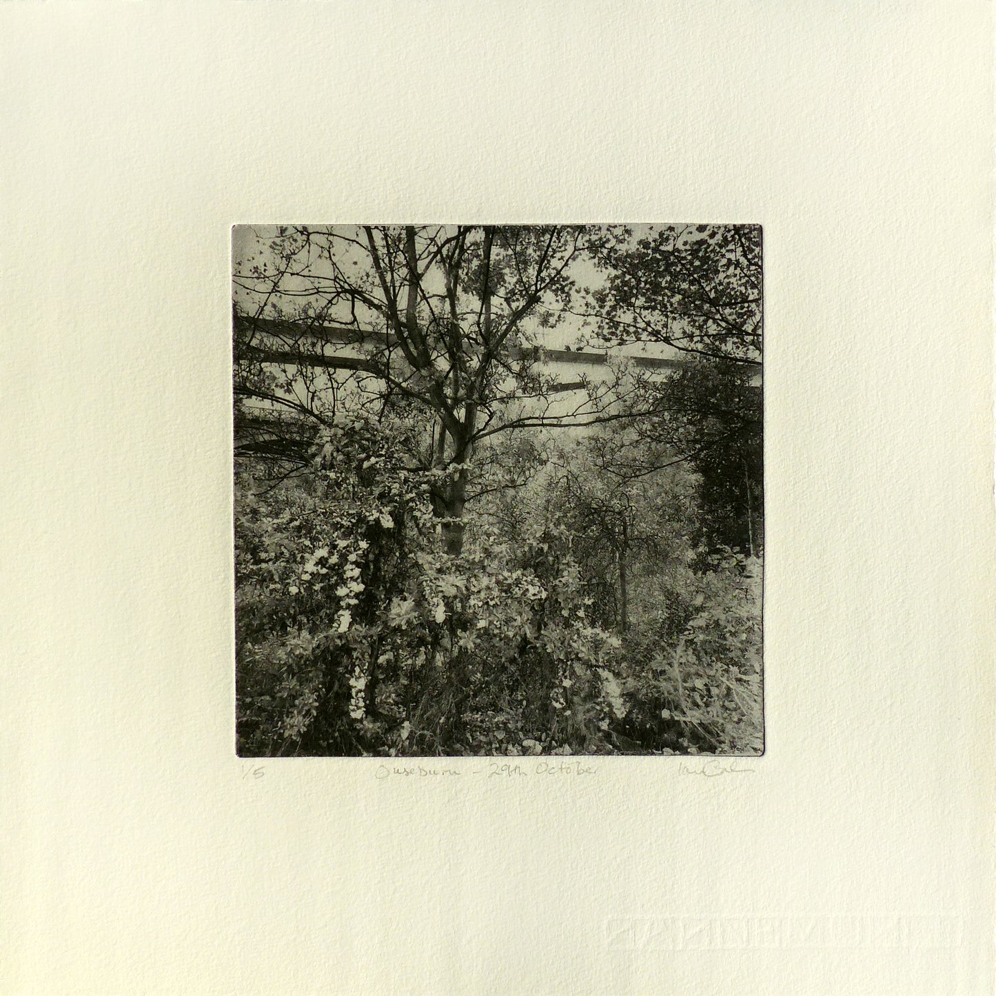 Ouseburn 29th October