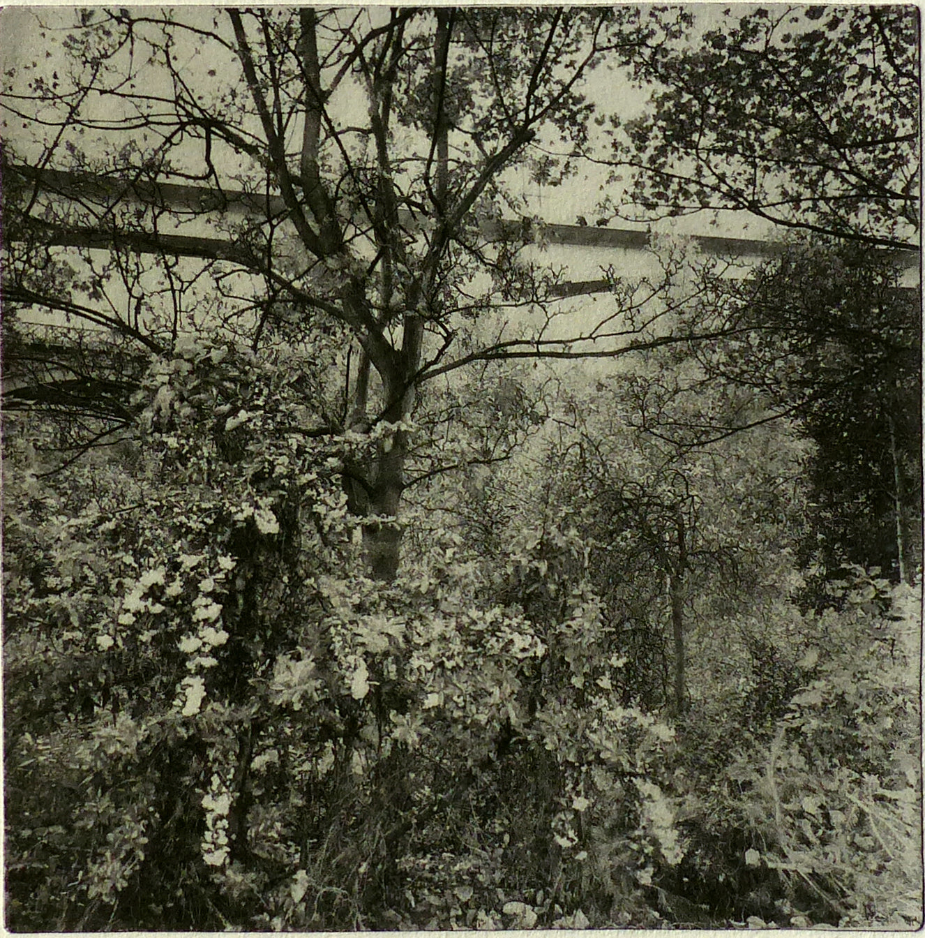 Ouseburn 29th October