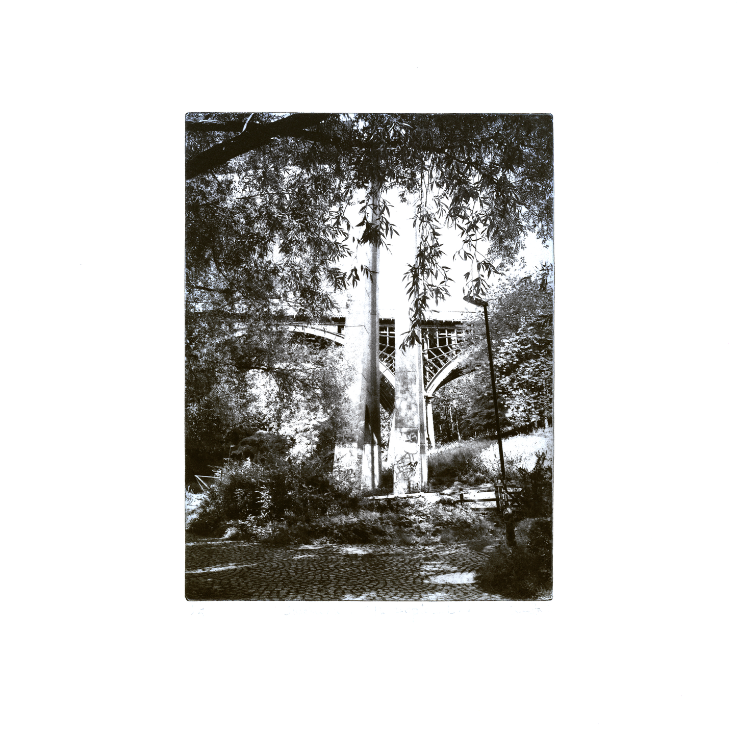 Ouseburn 8th September