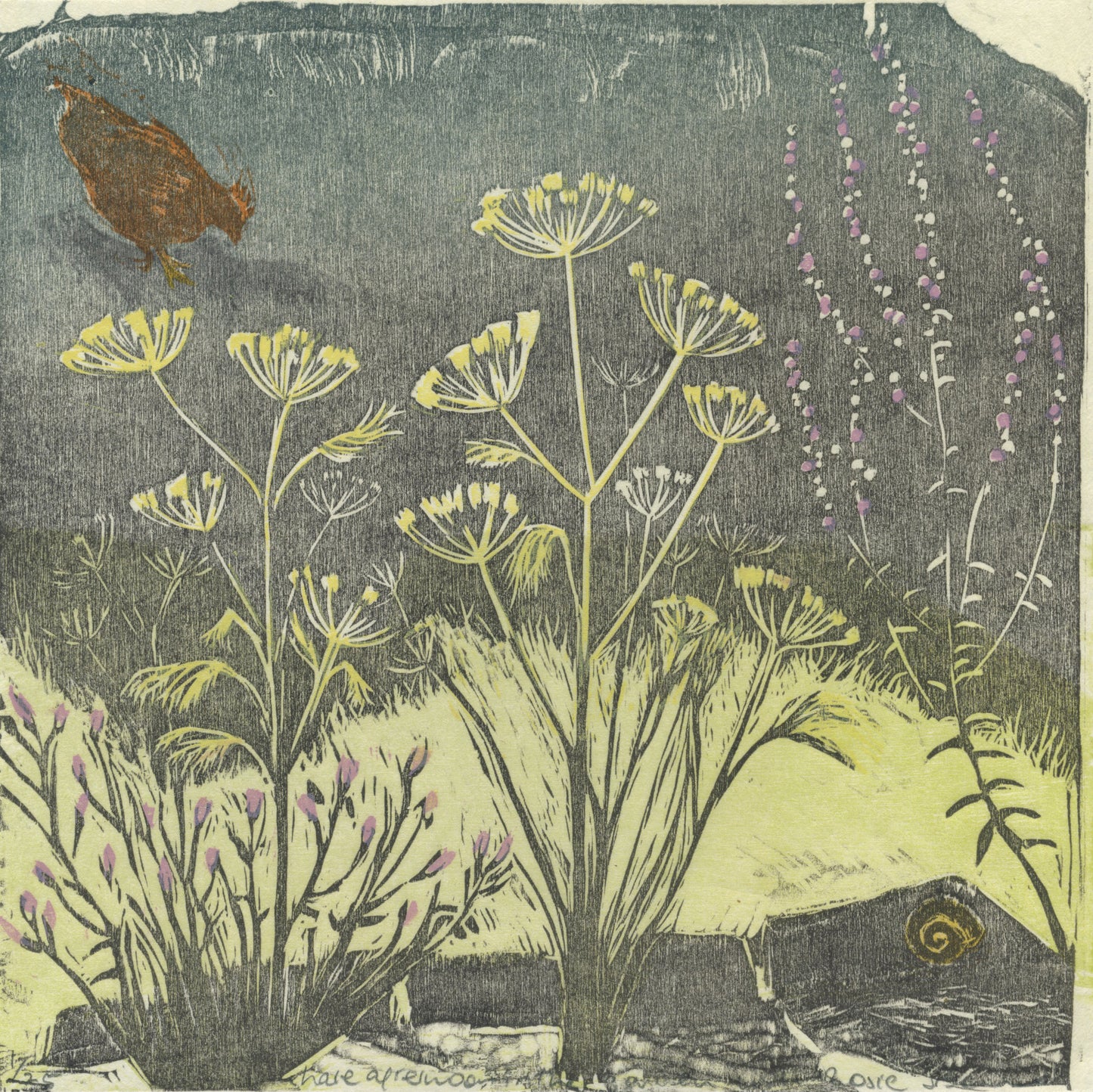 Late Afternoon in the Garden with Rosie