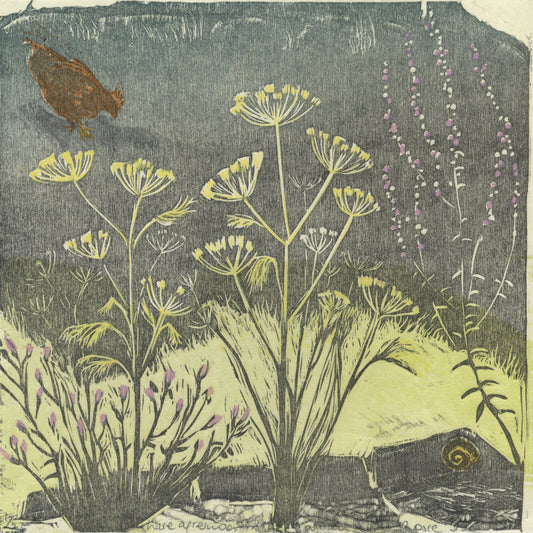 Late Afternoon in the Garden with Rosie