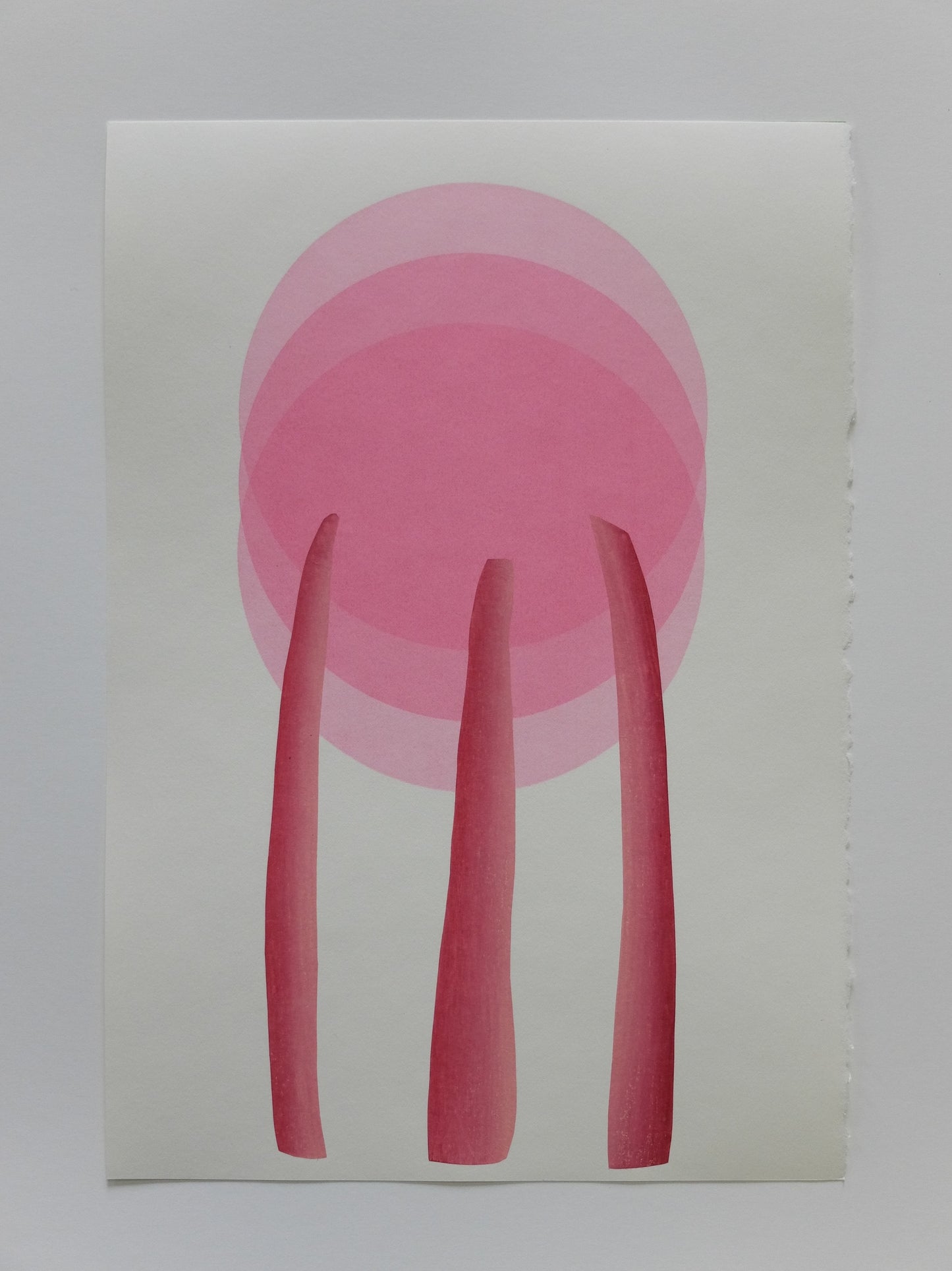 The Moon and the Sledgehammer Series