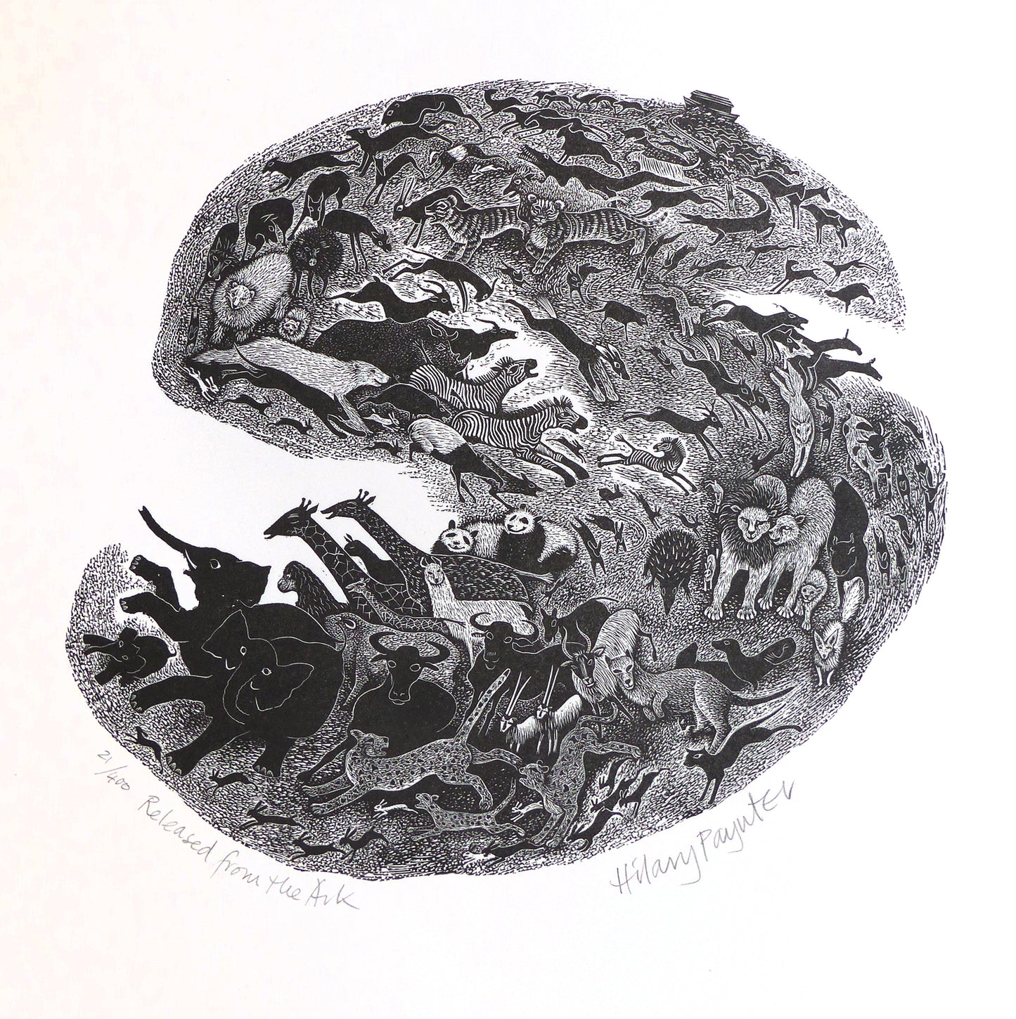Hilary Paynter Wood Engraving: Released from the Ark