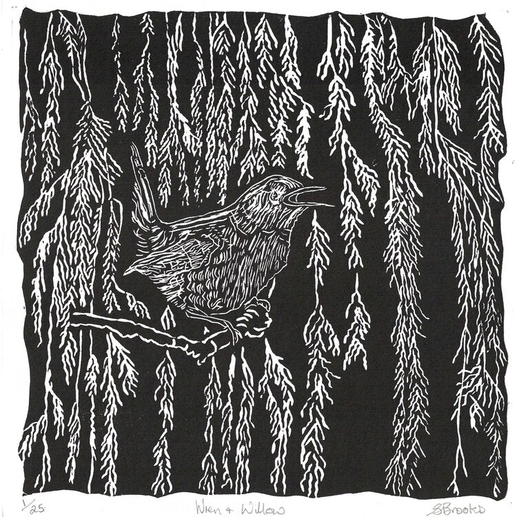 Wren and Willow