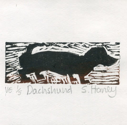 Dachshund