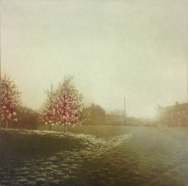 Anja Percival. Etching: Sun Light