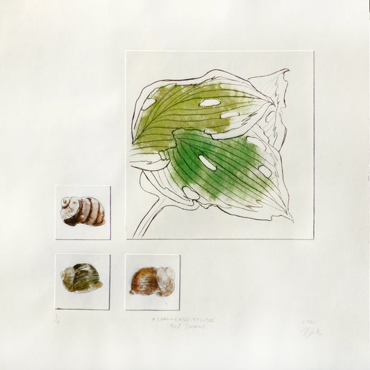 A Challenge to Love: No. 1 Snails