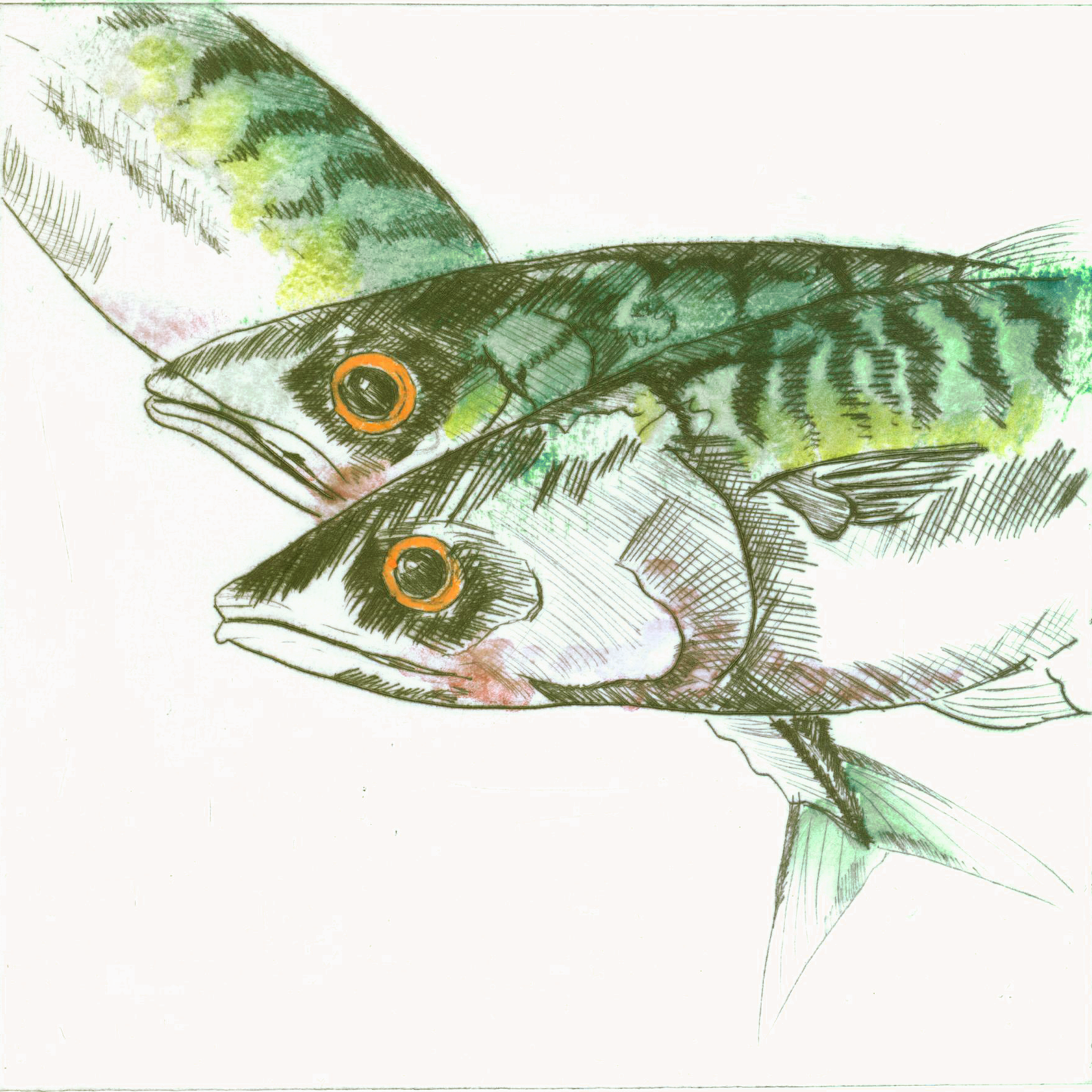 Thou Shalt Have a Fishy