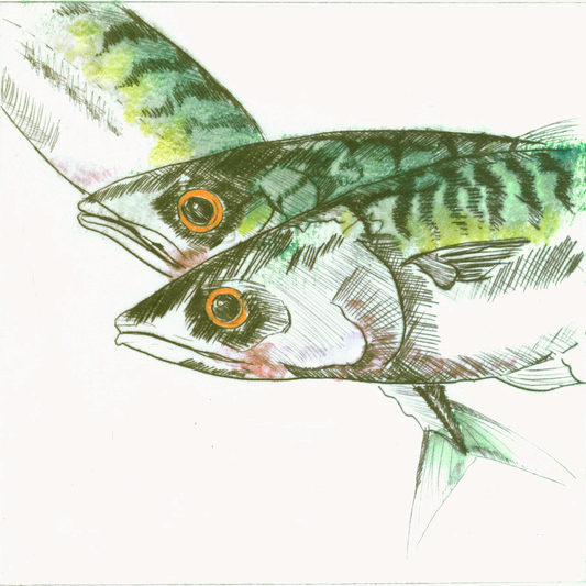 Thou Shalt Have a Fishy