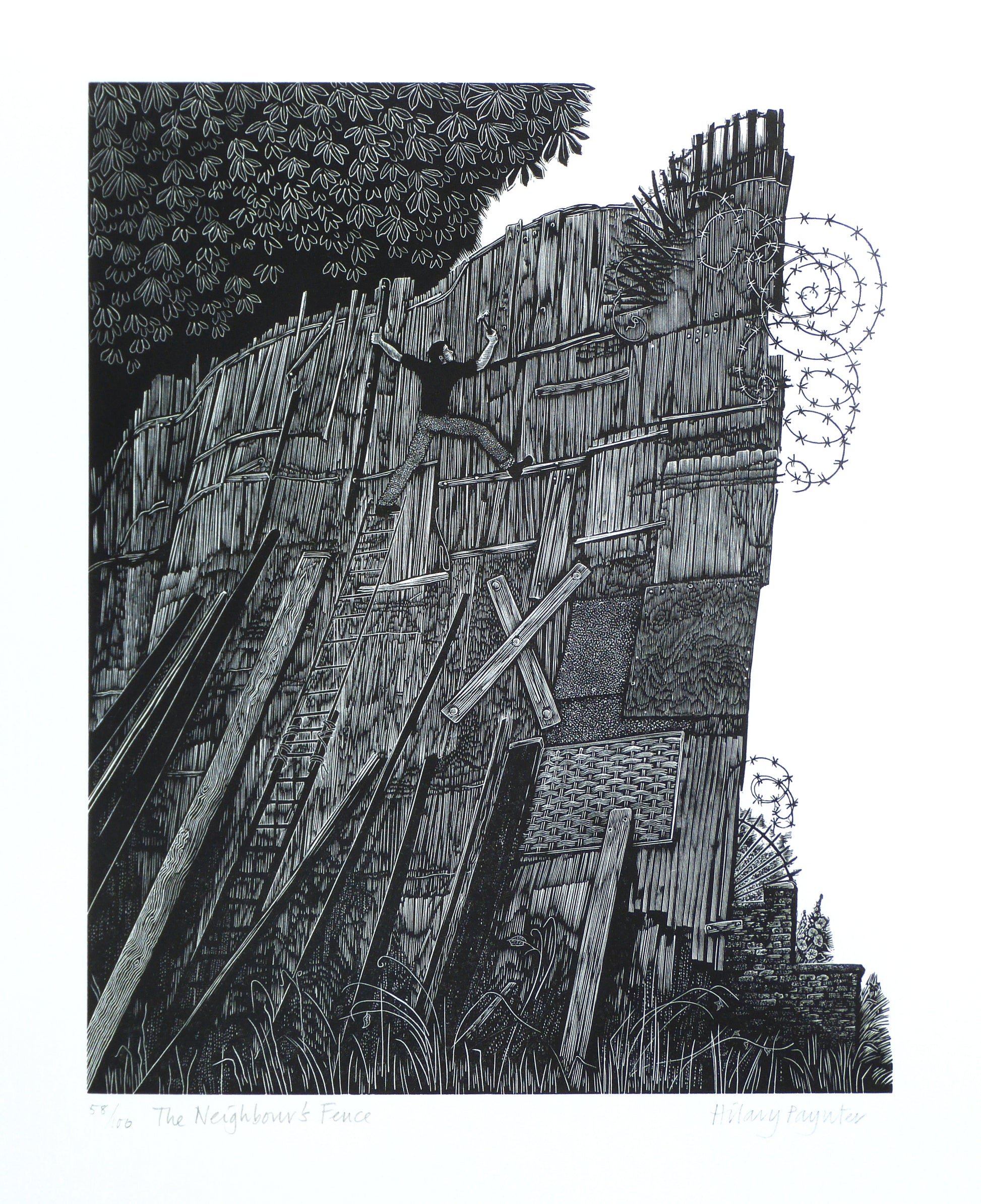 Hilary Paynter Wood Engraving: The Neighbour's Fence