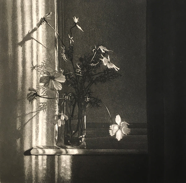 Window Light XXIII