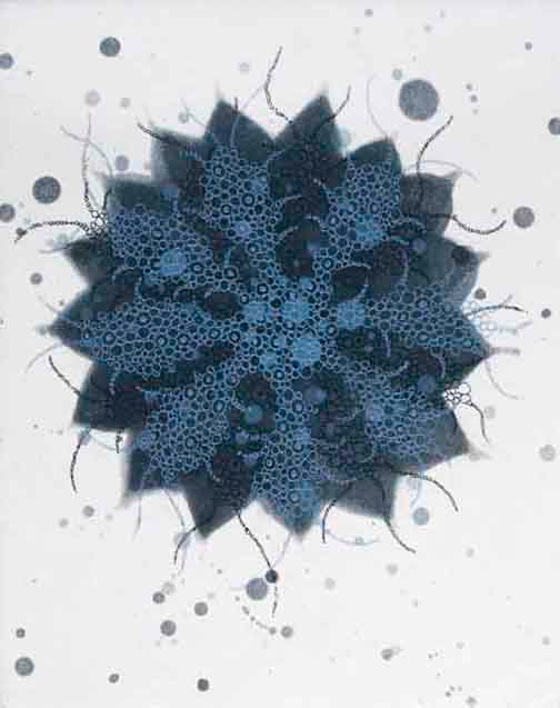 Fern-Butterfly Effect a-1