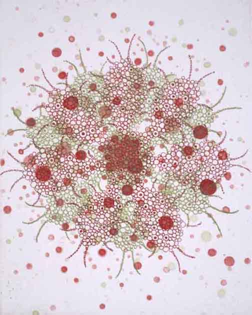 Fern-Butterfly Effect h-2