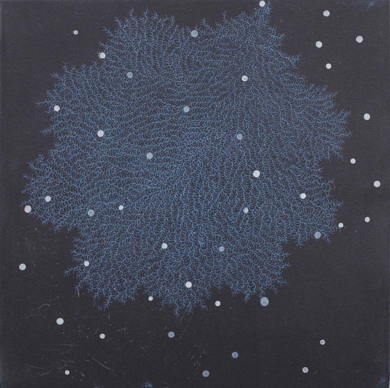 Fractal-ssi-1b