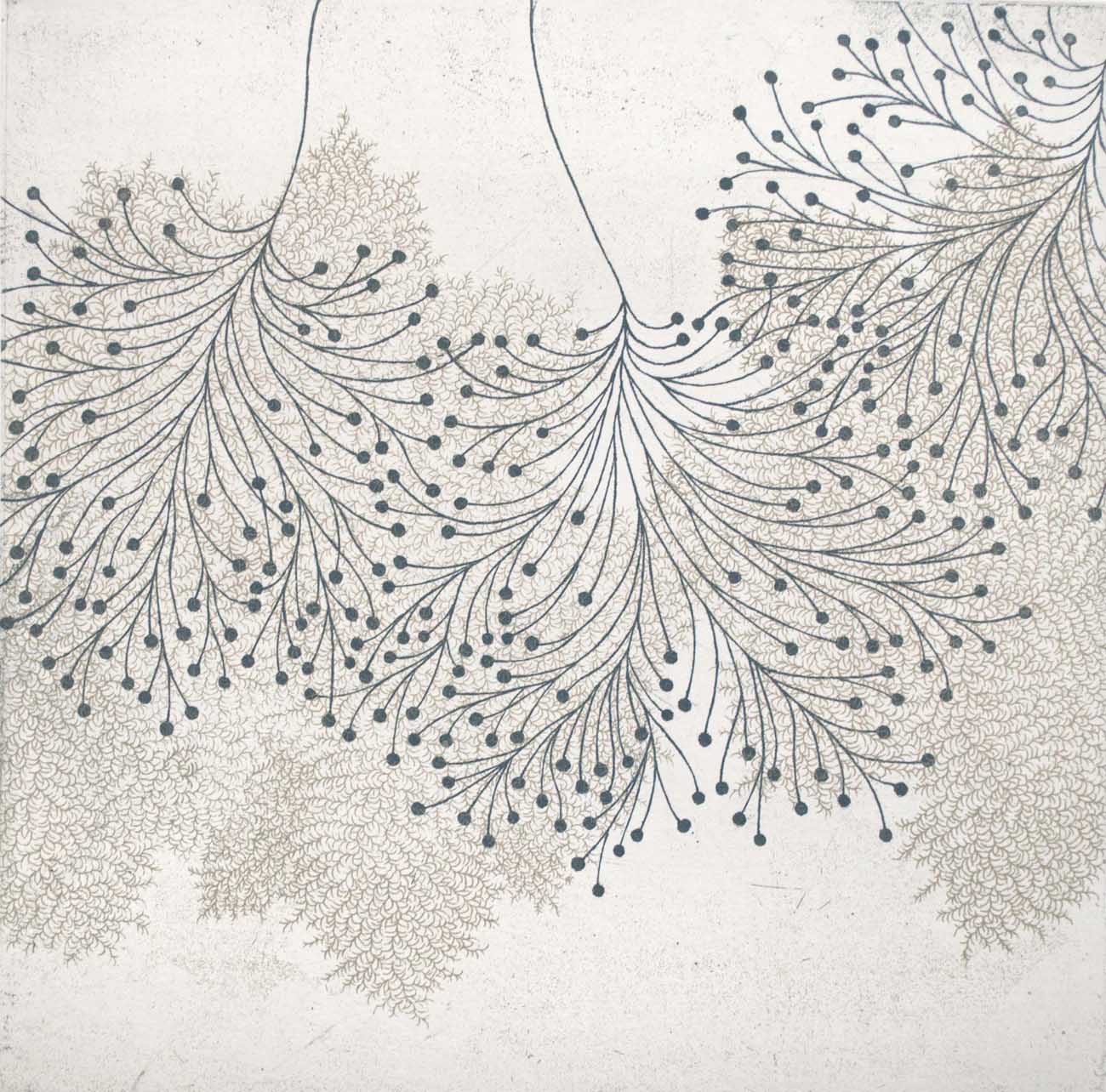 Fractal-ssi-5c