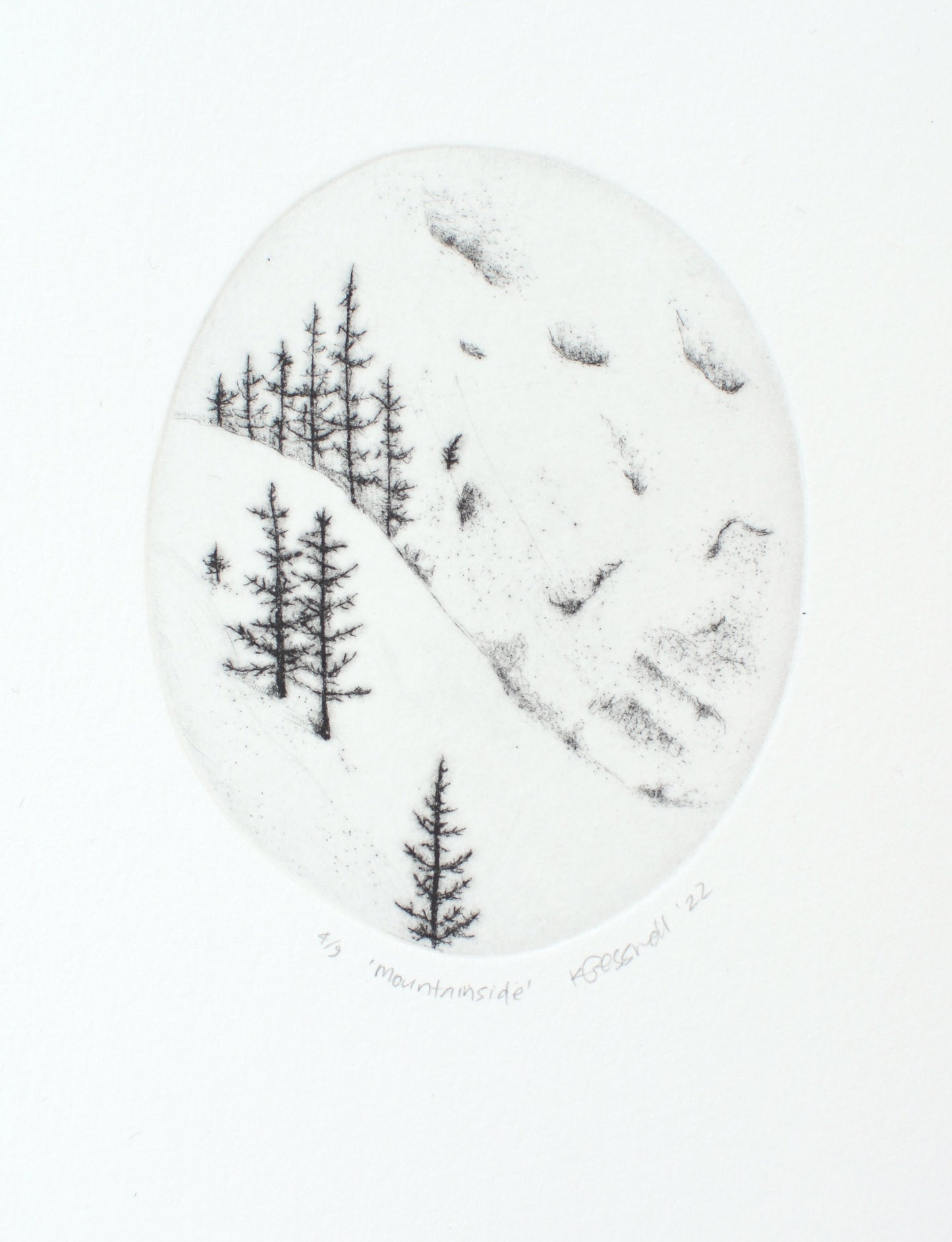 Mountainside