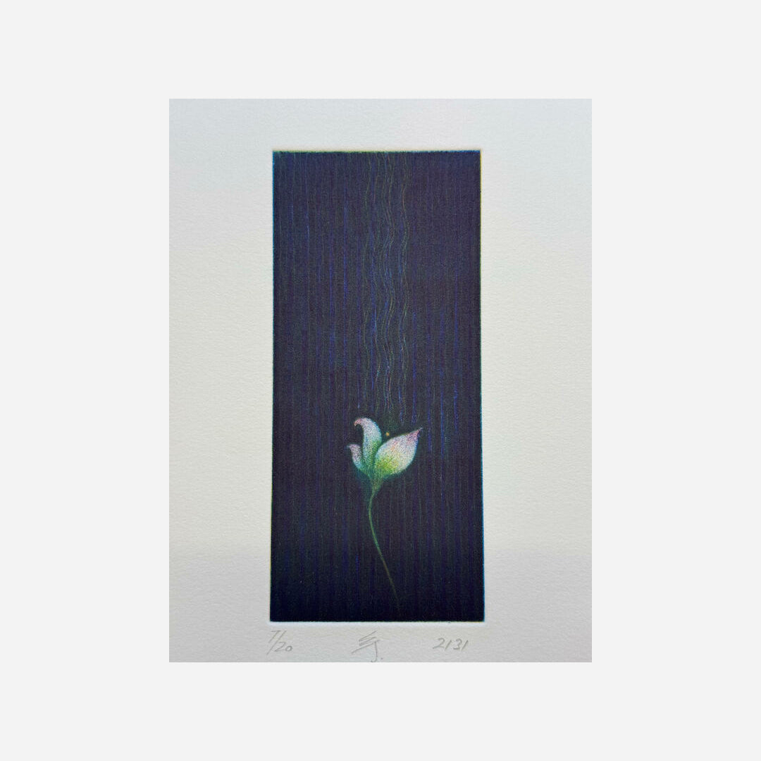 2131 (imaginary flower, white), 2021