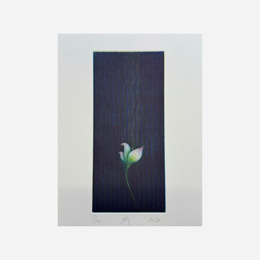2131 (imaginary flower, white), 2021