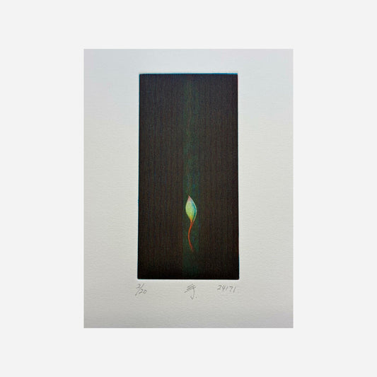 24171 (imaginary bud), 2024