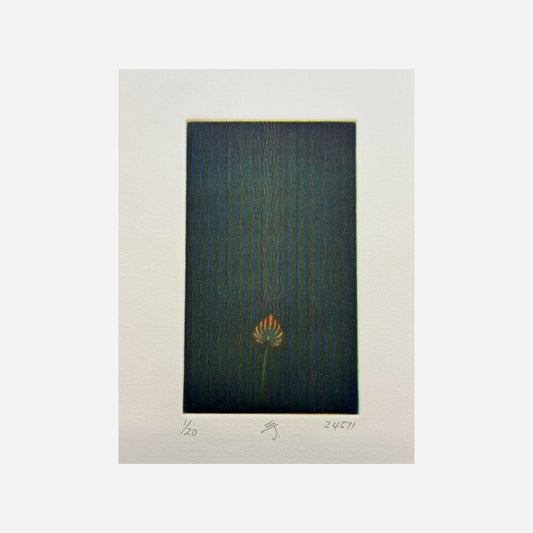 24511 (imaginary flower), 2024
