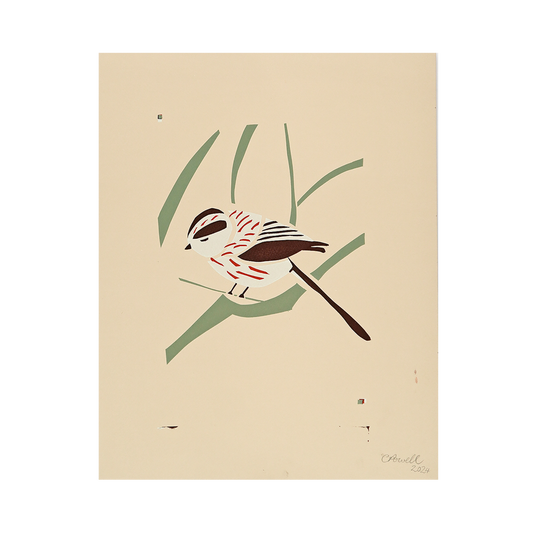 Long Tailed Tit by Catherine Powell