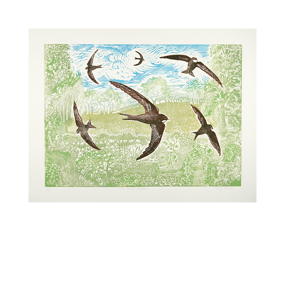 The Swifts’ Return – Northern Print Studio