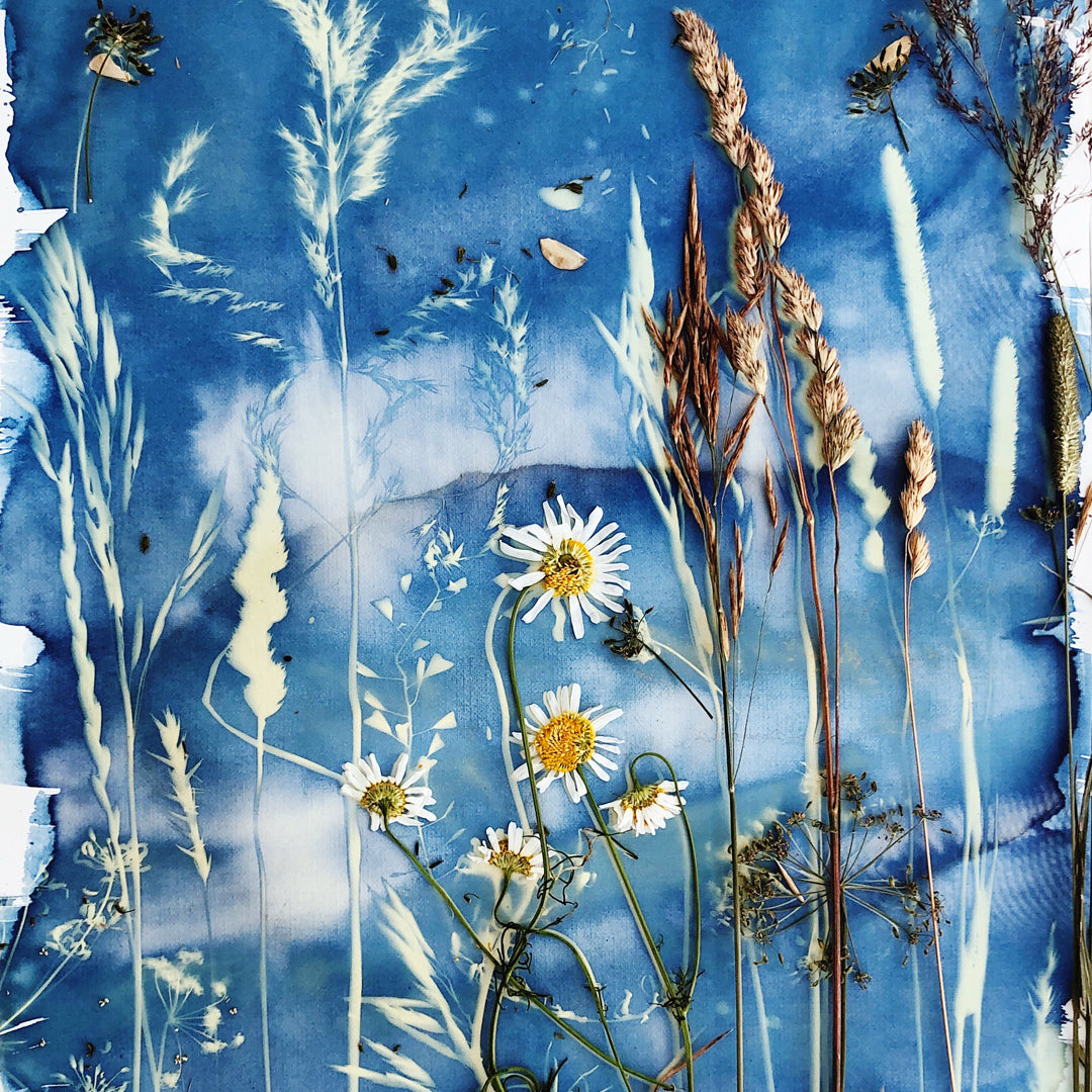Botanical Cyanotype